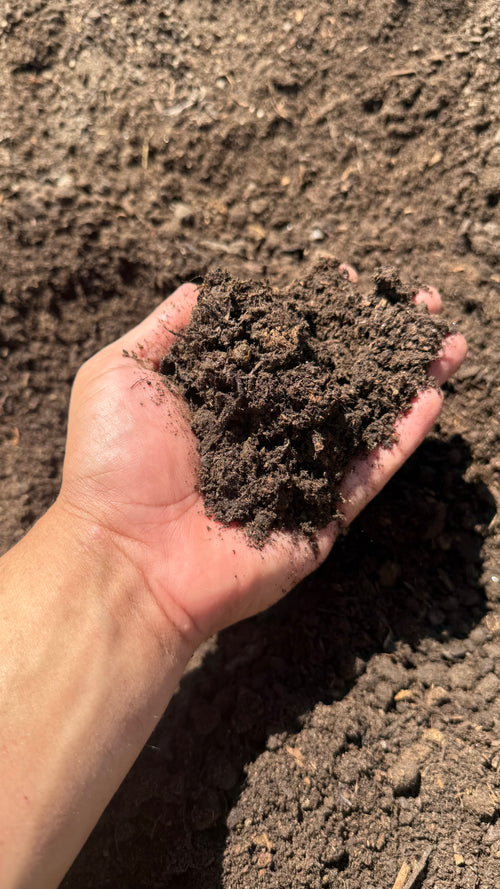 Sustrato Almácigo 5L